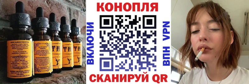 Canna-Cookies марихуана  Канск 