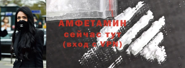 хмурый Абаза