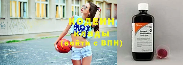 хмурый Абаза