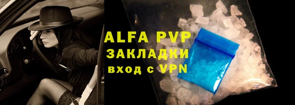 хмурый Абаза