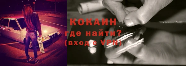 хмурый Абаза