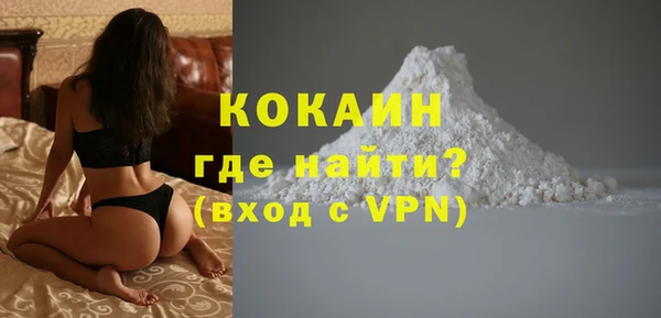 хмурый Абаза