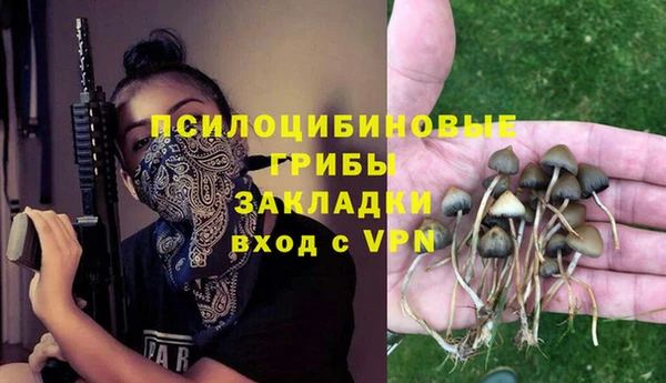 хмурый Абаза