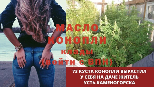 хмурый Абаза