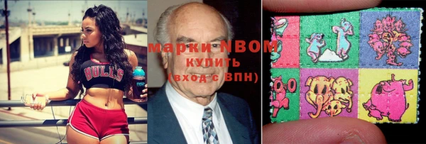 хмурый Абаза